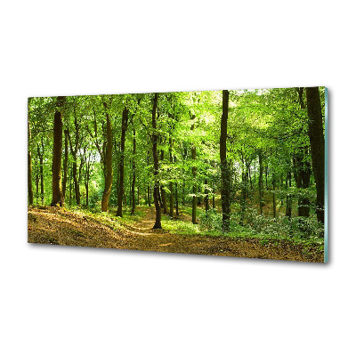 Cooker splashback Forest track