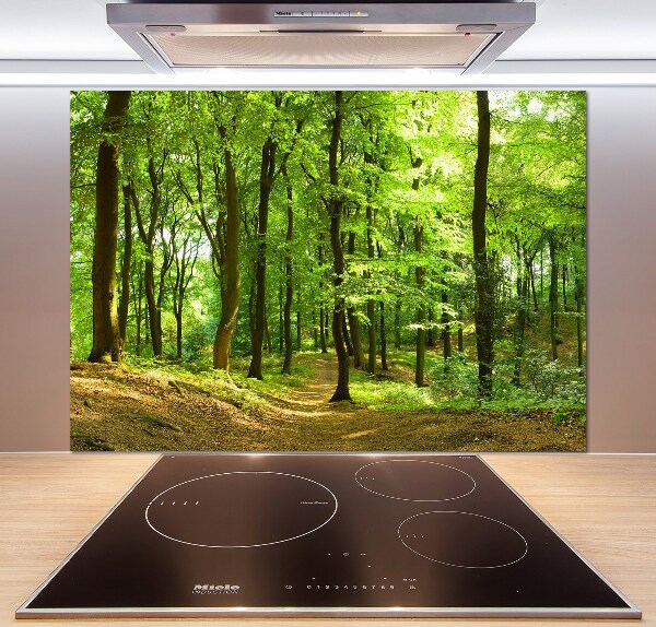 Cooker splashback Forest track