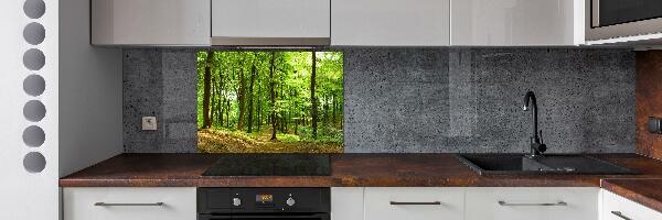 Cooker splashback Forest track