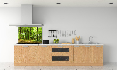 Cooker splashback Forest track