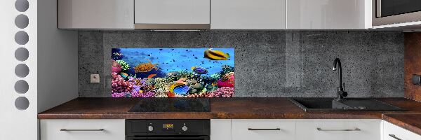 Kitchen splashback Coral reef