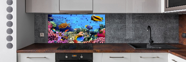 Kitchen splashback Coral reef