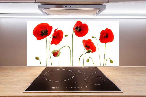 Cooker splashback Macs