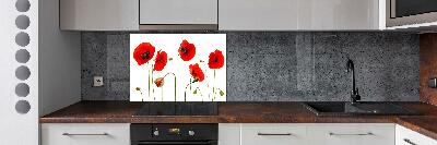 Cooker splashback Macs