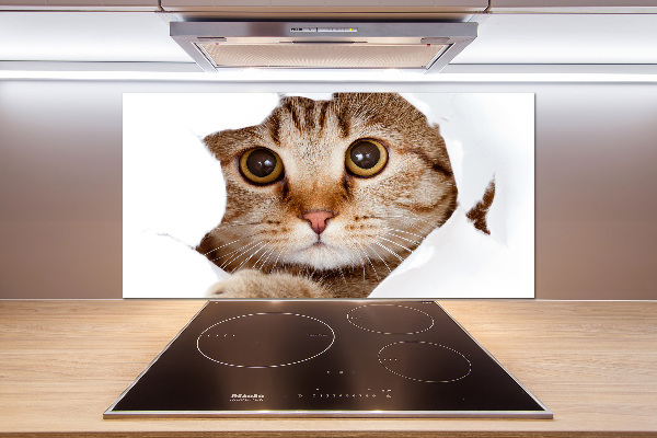 Kitchen splashback Cat