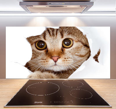 Kitchen splashback Cat