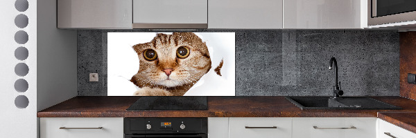 Kitchen splashback Cat