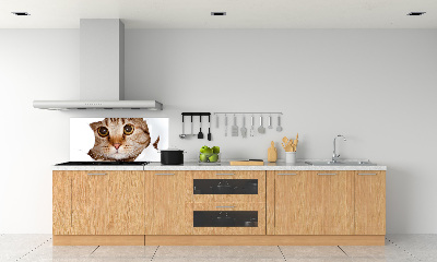 Kitchen splashback Cat