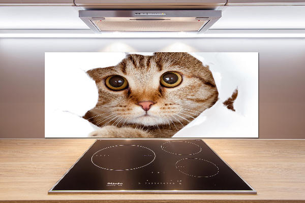 Kitchen splashback Cat