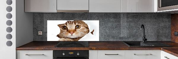 Kitchen splashback Cat