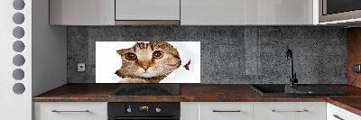 Kitchen splashback Cat