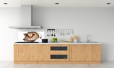 Kitchen splashback Cat