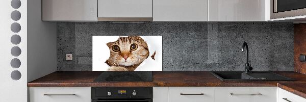 Kitchen splashback Cat