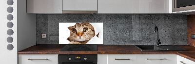 Kitchen splashback Cat