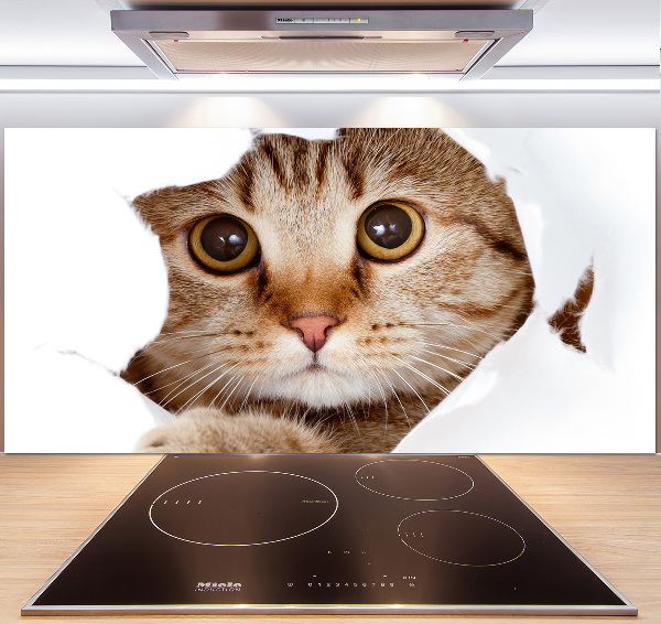 Kitchen splashback Cat