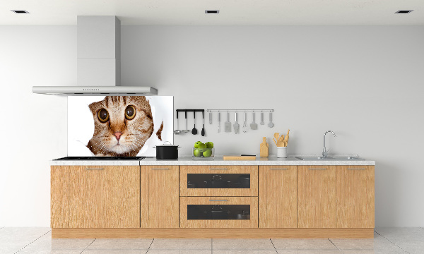 Kitchen splashback Cat