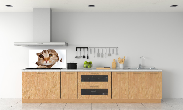 Kitchen splashback Cat