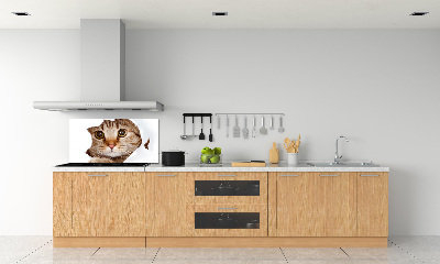 Kitchen splashback Cat