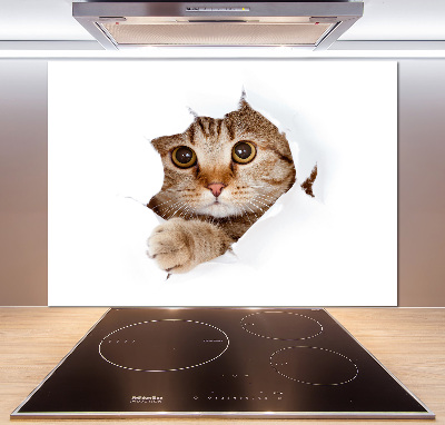 Kitchen splashback Cat