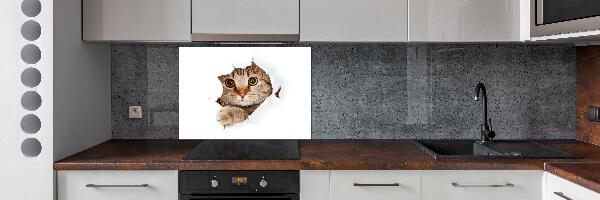 Kitchen splashback Cat