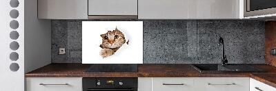 Kitchen splashback Cat