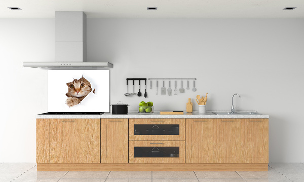 Kitchen splashback Cat