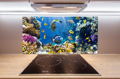 Kitchen splashback Coral reef