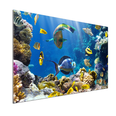 Kitchen splashback Coral reef