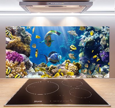 Kitchen splashback Coral reef