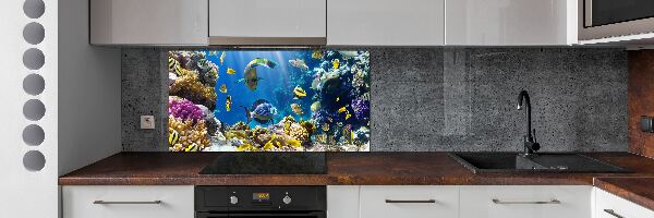 Kitchen splashback Coral reef