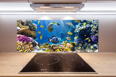 Kitchen splashback Coral reef