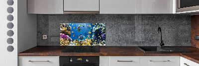 Kitchen splashback Coral reef