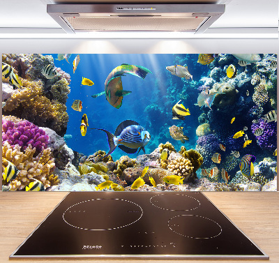 Kitchen splashback Coral reef