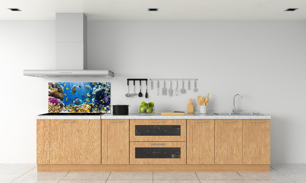 Kitchen splashback Coral reef