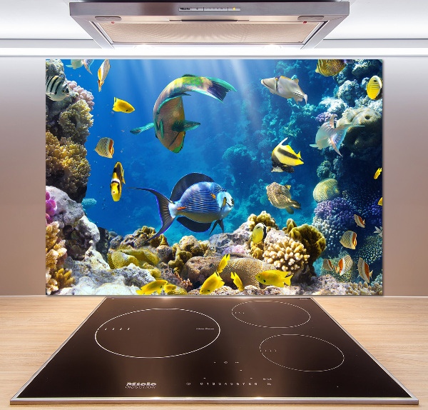 Kitchen splashback Coral reef