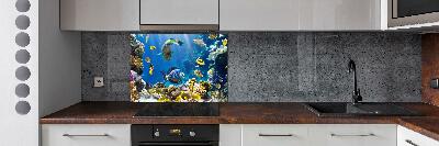 Kitchen splashback Coral reef