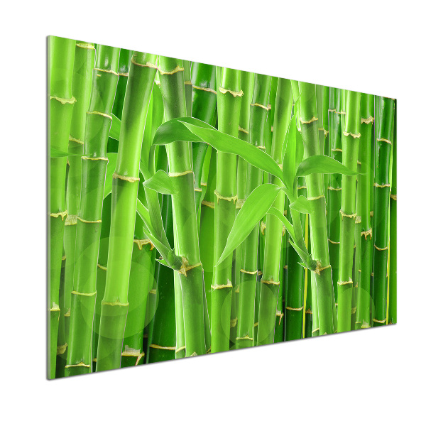 Cooker splashback Bamboo