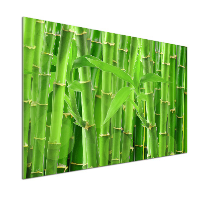 Cooker splashback Bamboo