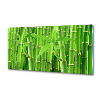 Cooker splashback Bamboo