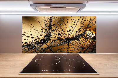 Cooker splashback Dandelion seeds