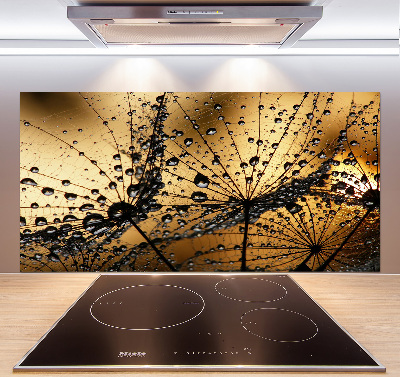 Cooker splashback Dandelion seeds