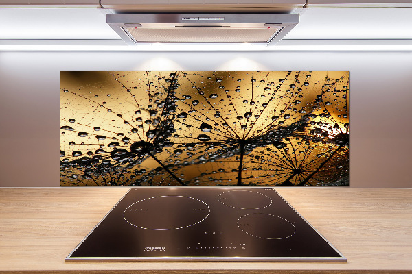 Cooker splashback Dandelion seeds