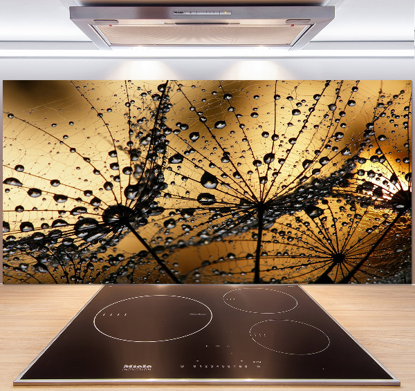 Cooker splashback Dandelion seeds