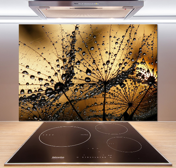 Cooker splashback Dandelion seeds