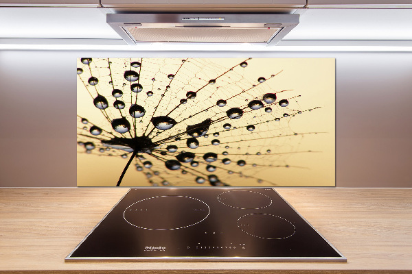 Cooker splashback Dandelion seed