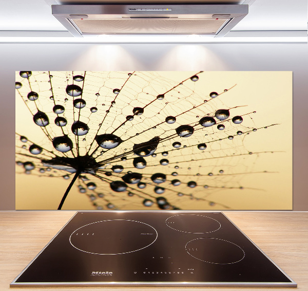 Cooker splashback Dandelion seed