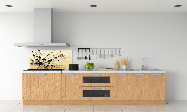 Cooker splashback Dandelion seed