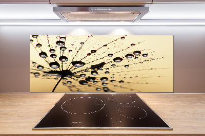 Cooker splashback Dandelion seed