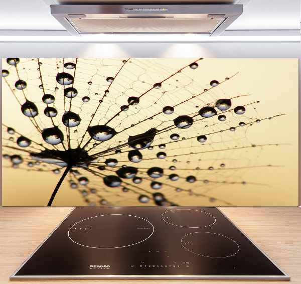 Cooker splashback Dandelion seed