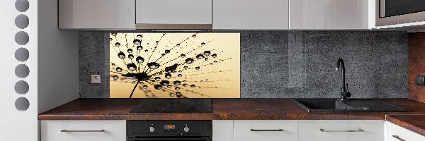 Cooker splashback Dandelion seed